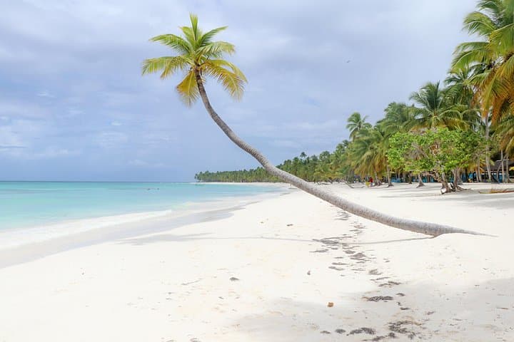 Day Trip to Saona Island from Bayahibe — Speedboat, Natural Pool & Beach Buffet photo 3
