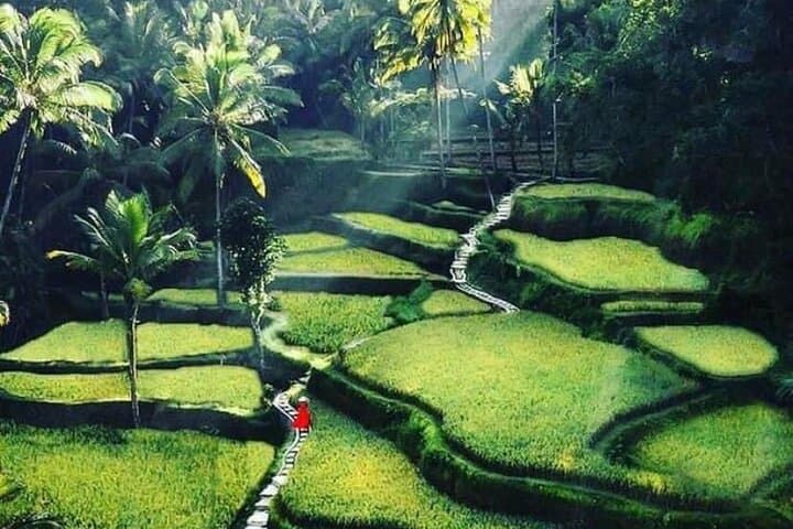 Craft Your Perfect Day: Private Custom Tour with a Local Guide in Bali