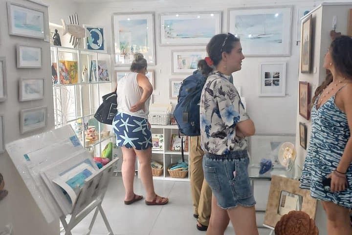 Sint Maarten Art Gallery Guided Tour: Scenic Island Art Drive and Local Studios photo 4