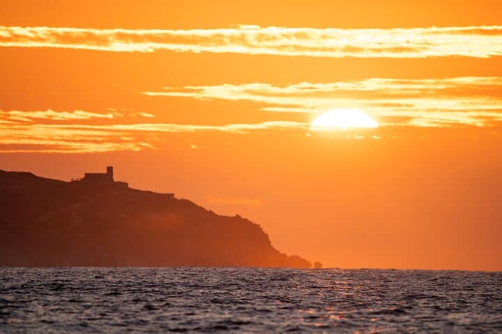 Sunrise Whale Watching in Cabo: Educational Tour with Photos photo 2