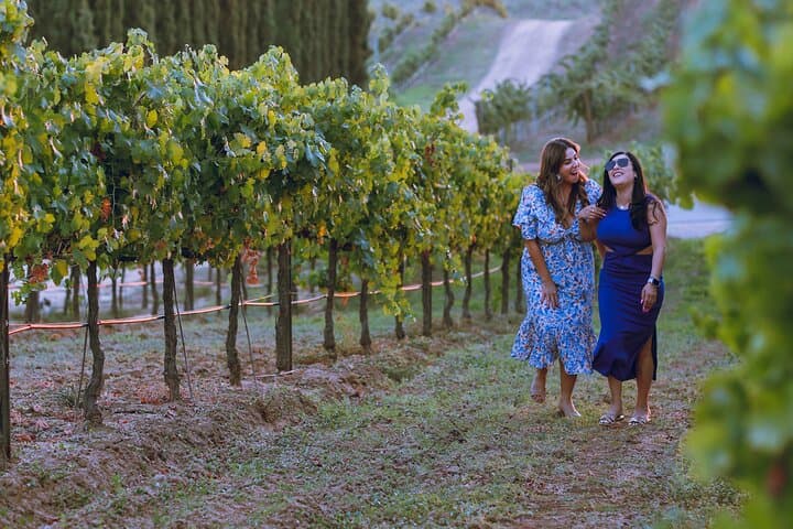 Temecula Valley Wine Tour: 3 Wineries, Picnic Lunch & Hotel Pickup photo 5