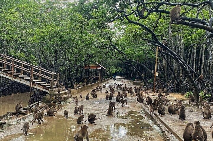 Can Gio Mangrove Forest Private Tour From Ho Chi Minh City — Monkey Island & Vam Sat Eco Park photo 4