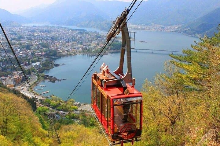 Mt Fuji Panoramic Ropeway, Fruit Picking & Oishi Park Day Tour from Tokyo photo 3