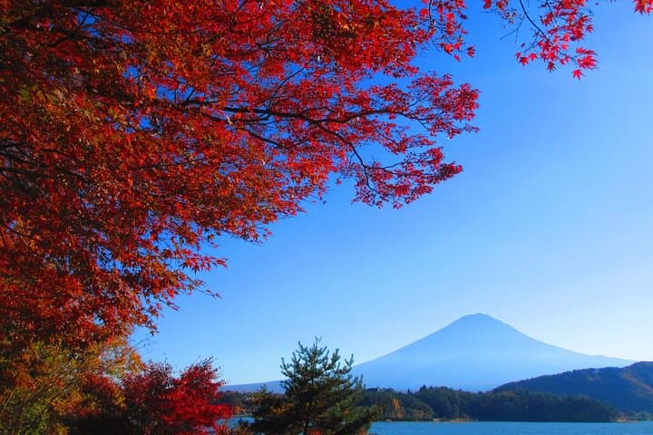 Mt Fuji Panoramic Ropeway, Fruit Picking & Oishi Park Day Tour from Tokyo photo 2
