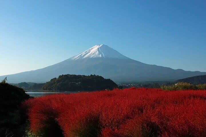Mt Fuji Panoramic Ropeway, Fruit Picking & Oishi Park Day Tour from Tokyo photo 6
