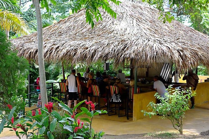 Konoko Falls & Bamboo Blu Beach — Ocho Rios Waterfall Climb and Beach Lunch photo 5