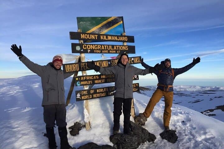 Lemosho Route Kilimanjaro & Safari Combo: 12-Day Summit to Ngorongoro