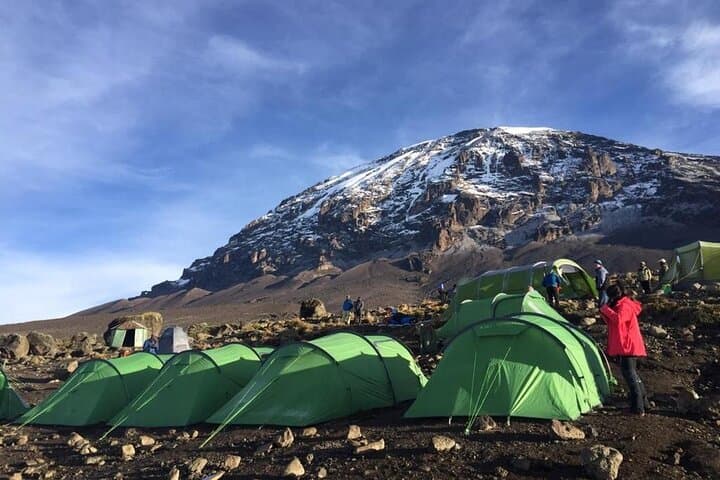 Lemosho Route Kilimanjaro & Safari Combo: 12-Day Summit to Ngorongoro photo 3