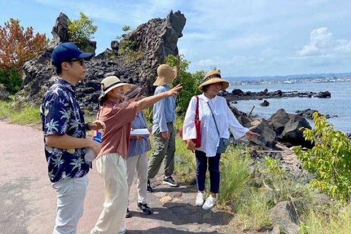 Sakurajima Half-Day Volcano Walking Tour: Lava Fields, Footbaths & Observatory photo 2