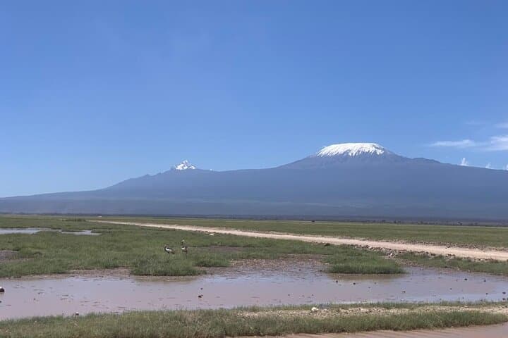 Amboseli Luxury Safari: Kilimanjaro Views, Elephant Herds & Tsavo History photo 1