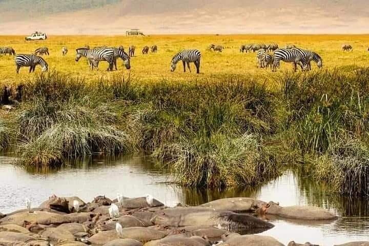 12-Day Private Tanzania Safari & Zanzibar Beach Escape photo 5
