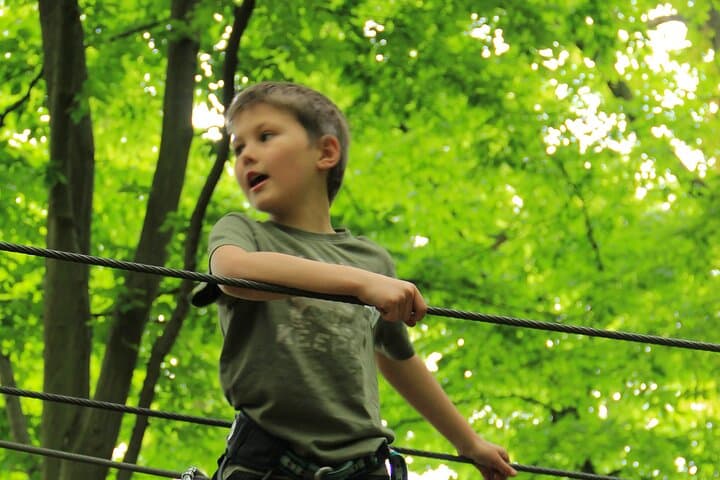 Sherwood Parc: Full-Day Treetop Adventure Near Paris photo 2