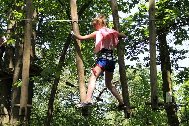 Sherwood Parc: Full-Day Treetop Adventure Near Paris