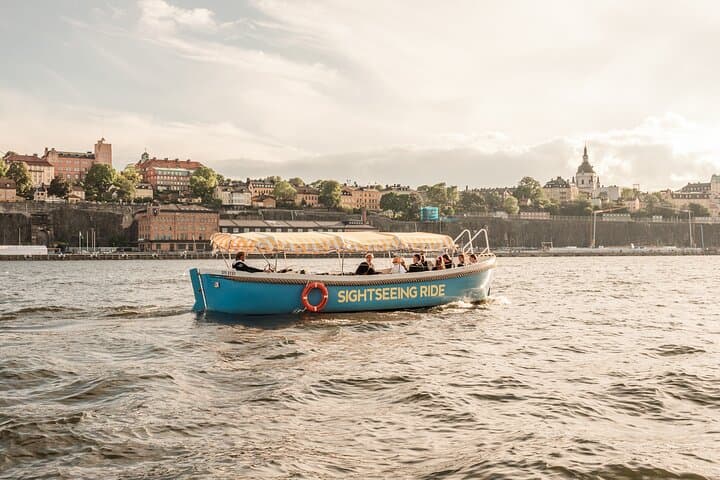 Electric Open-Boat Tour of Stockholm: Guided Canal Cruise to Vasa, Djurgården & Royal Sights photo 3
