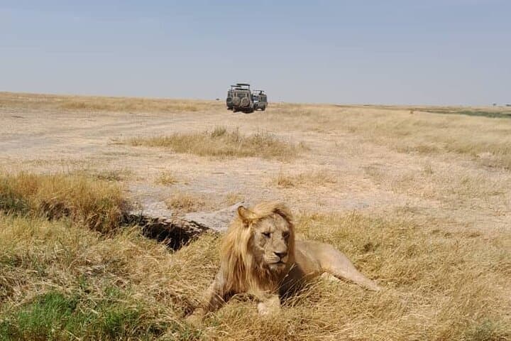 4-Day Private Safari to Serengeti & Ngorongoro — Big Five Crater Game Drives photo 4
