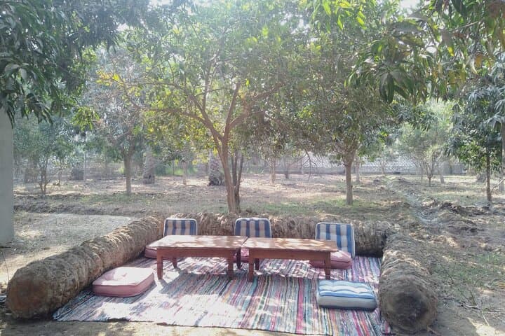 Private Dahshur Pyramids and Egyptian Farmland Tour with Lunch photo 5