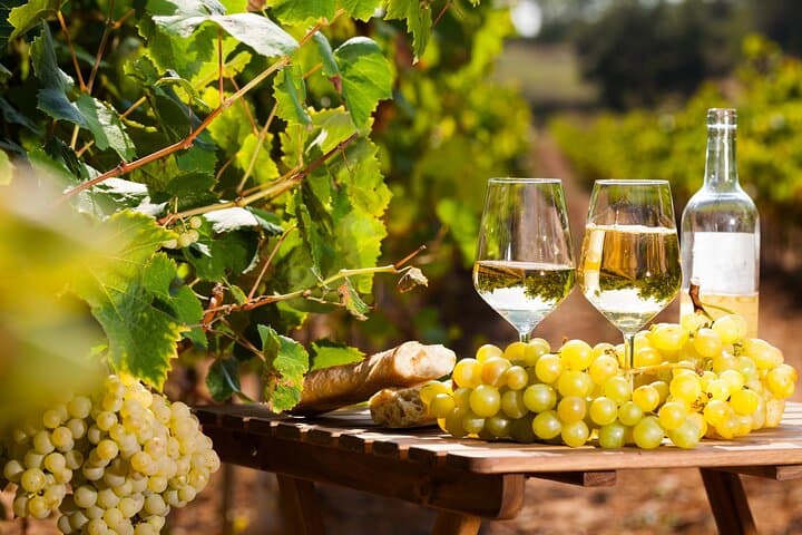 Provencal Market & Wine Tasting from Nice: Antibes, St‑Paul‑de‑Vence & Bellet