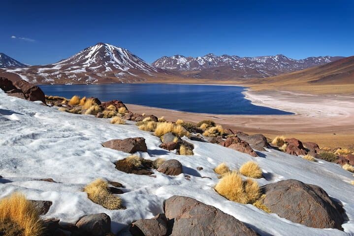Atacama Altiplanic Lagoons, Piedras Rojas & Laguna Chaxa — One-Day Tour from San Pedro de Atacama