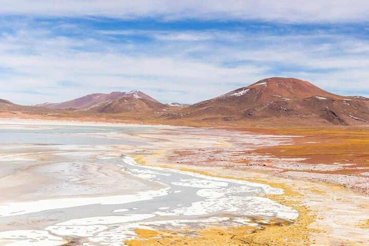 Atacama Altiplanic Lagoons, Piedras Rojas & Laguna Chaxa — One-Day Tour from San Pedro de Atacama photo 6