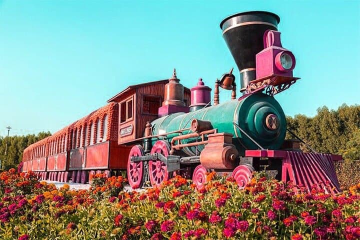 Dubai Miracle Garden Skip-the-Line Tickets — Best Times, Tips & What to Expect photo 5