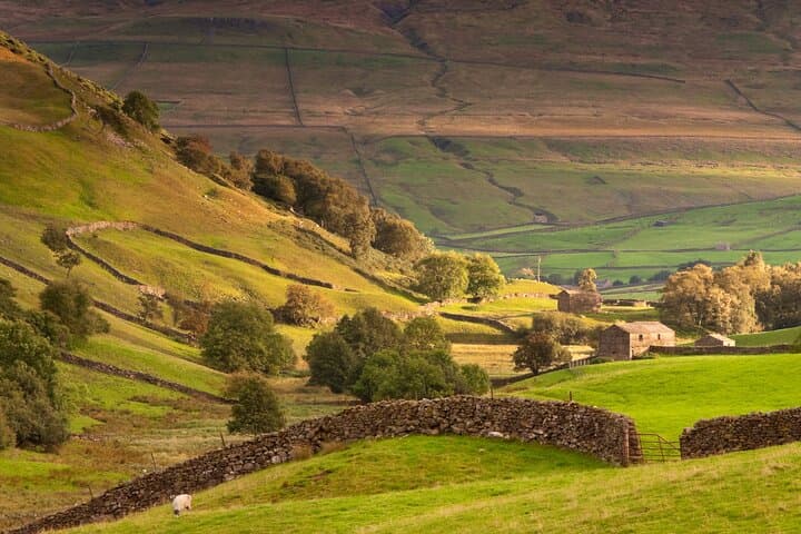 All Creatures Filming Locations Day Tour: Yorkshire Dales from York photo 2