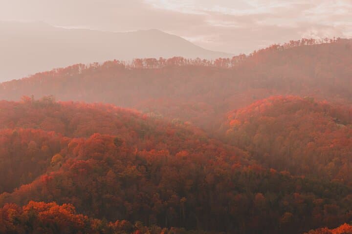 Great Smoky Mountains Full-Day Private Tour & Hike from Asheville photo 3