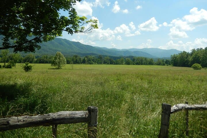 Great Smoky Mountains Full-Day Private Tour & Hike from Asheville photo 5