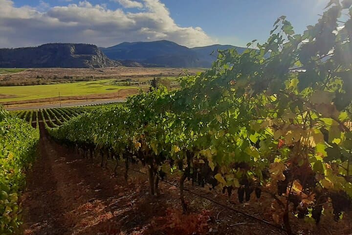 South Okanagan Private Wine Tour: Oliver & Osoyoos Day Trip from Kelowna