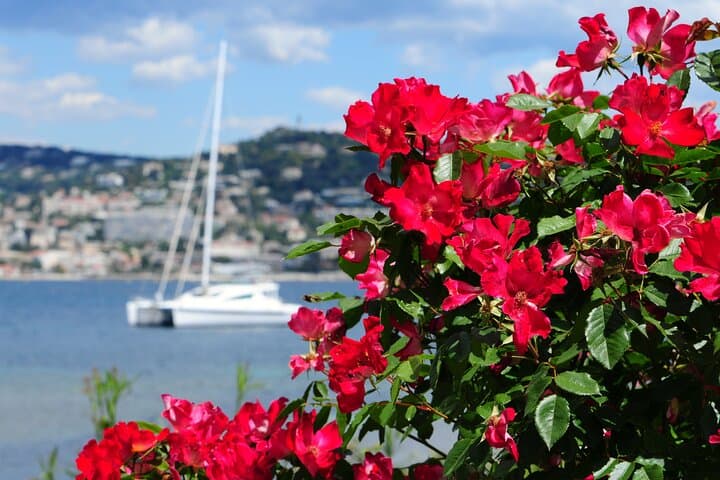 Cannes Shore Excursion: Grasse, Antibes & St-Paul-de-Vence — Perfume, Port Life and Provençal Art