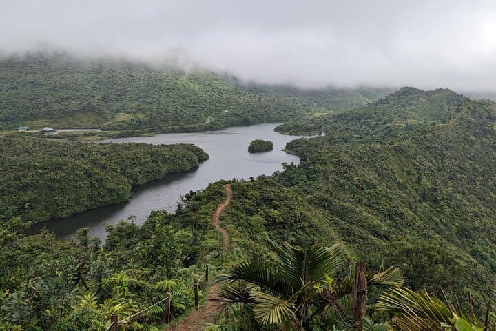 Magical Hike to Fresh Water Lake — Dominica's Mountain Lake Trek
