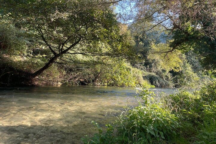 Guided Fly Fishing Day in Valnerina: Nera & Corno Rivers photo 5