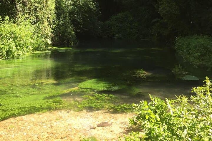 Guided Fly Fishing Day in Valnerina: Nera & Corno Rivers photo 6
