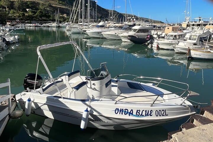 Explore the Zingaro Reserve by boat from Castellammare del Golfo photo 6