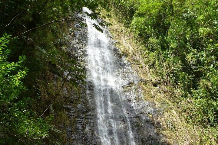 Diamond Head and Manoa Falls Hike — Waikiki Crater to Rainforest Waterfall photo 3