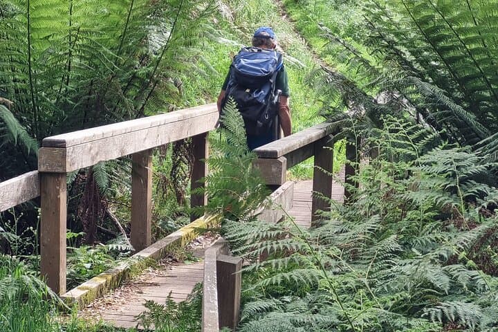 4-Day Mornington Peninsula Treks: Cape Schanck, Two Bays & Coastal Clifftops photo 2