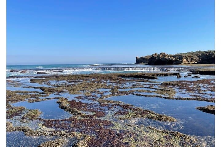 4-Day Mornington Peninsula Treks: Cape Schanck, Two Bays & Coastal Clifftops photo 3