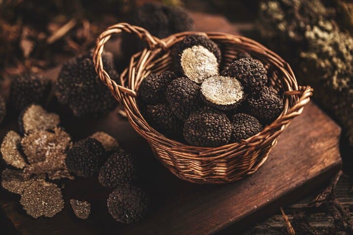 Willamette Valley Truffle Forage and Feast: Guided Truffle Hunting with Expert Dog