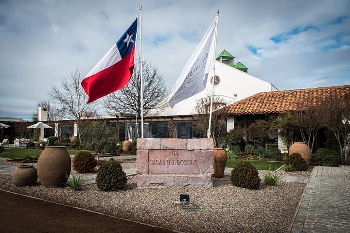 Casablanca Valley Premium Wine Tasting at Casas del Bosque with Private Transport photo 2