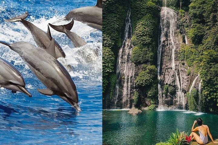Dawn Dolphins and Gitgit Waterfall: North Bali Sunrise Swim & Snorkel