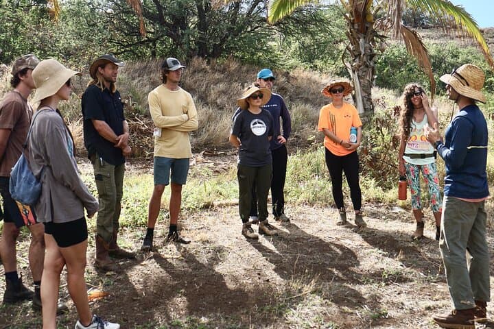 Hands-On Native Reforestation & Polynesian Agriculture Experience in Olowalu, Maui