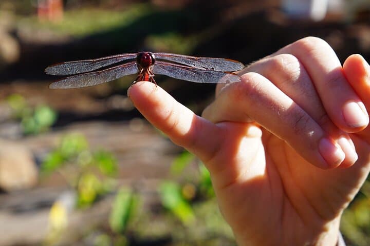 Hands-On Native Reforestation & Polynesian Agriculture Experience in Olowalu, Maui photo 6