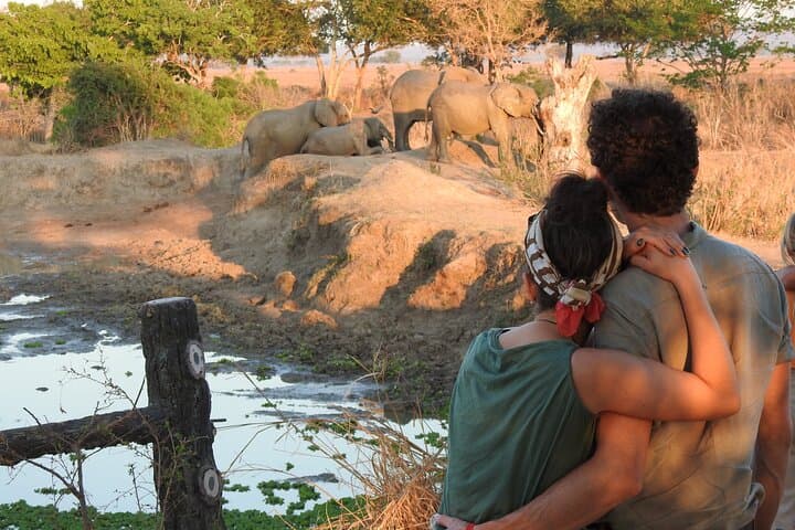 6-Day Private Northern Tanzania Safari: Lake Manyara, Serengeti & Ngorongoro photo 5