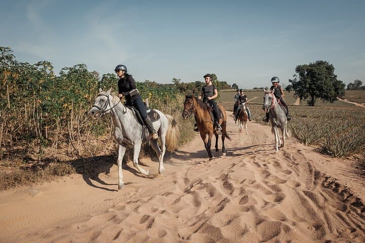 Pattaya Scenic Horse Trail Ride: 2-Hour Forest & Waterfall Ride