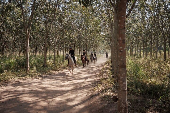 Pattaya Scenic Horse Trail Ride: 2-Hour Forest & Waterfall Ride photo 3
