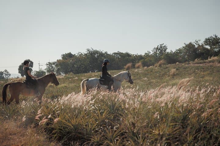 Pattaya Scenic Horse Trail Ride: 2-Hour Forest & Waterfall Ride photo 4