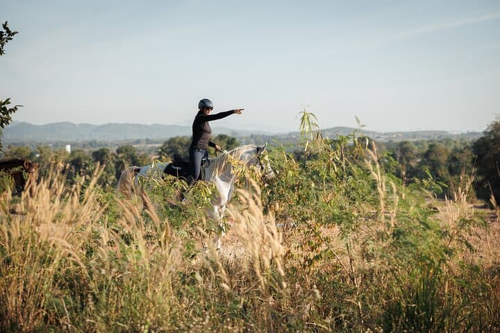 Pattaya Scenic Horse Trail Ride: 2-Hour Forest & Waterfall Ride photo 5