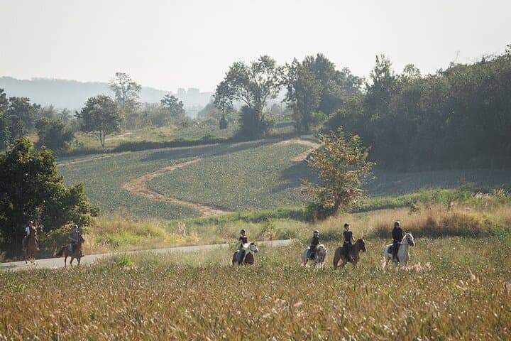 Pattaya Scenic Horse Trail Ride: 2-Hour Forest & Waterfall Ride photo 6