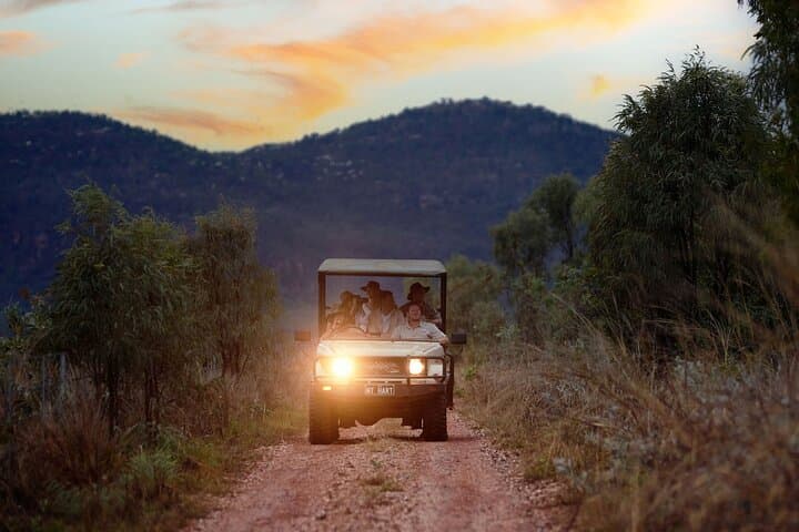 One-Day Kimberley Outback Adventure from Broome — Helicopter, Safari & Gorge Swimming photo 3