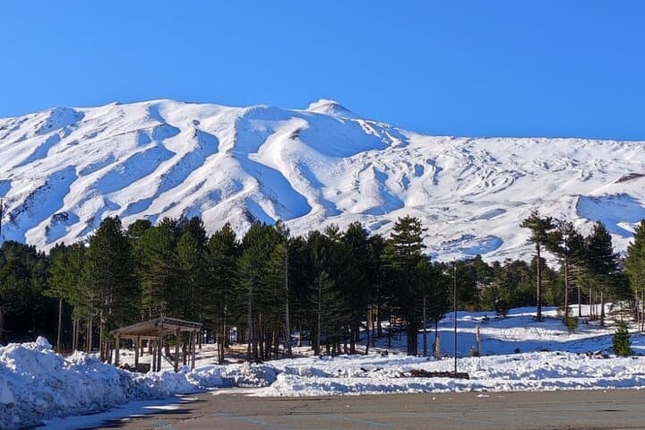 Trace Your Sicilian Roots on a Private Etna Day Tour photo 2