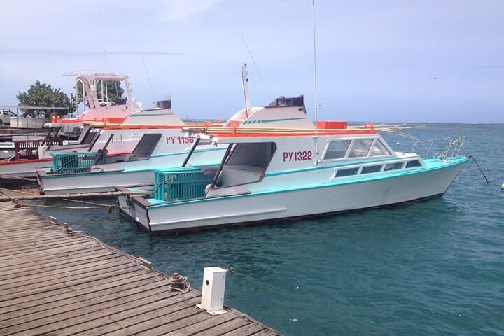 Papeete and Tahiti Historical and Cultural Tour: 2–3 Hour Introduction to Local Life photo 2